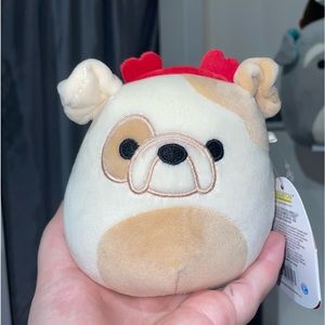 Brock the bulldog Valentines 2022 Squishmallows NWT